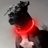 GlowSafe Rechargeable LED Dog Collar - USB Safety Light for Enhanced Visibility & Nighttime Safety