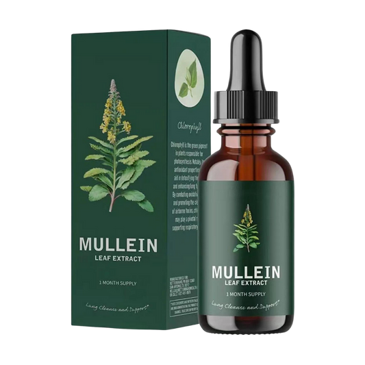 Alcohol-Free Mullein Drops for Lung Health