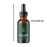 Alcohol-Free Mullein Drops for Lung Health | Natural Respiratory Support | Herbal Supplement