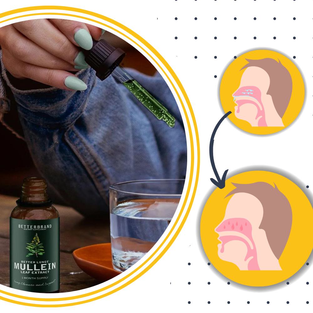 Alcohol-Free Mullein Drops for Lung Health | Natural Respiratory Support | Herbal Supplement