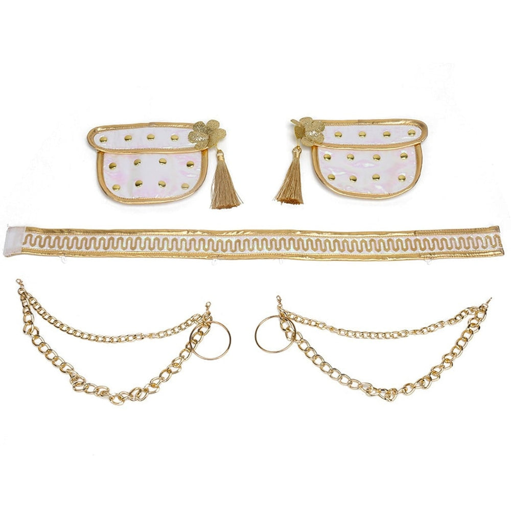 Halloween Costumes Girls Gold Dance Costume Set