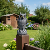 Halloween Decoration Realistic Owl Garden Yard Statue