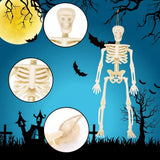 Halloween Decoration Skeleton Decorations Party Supplies