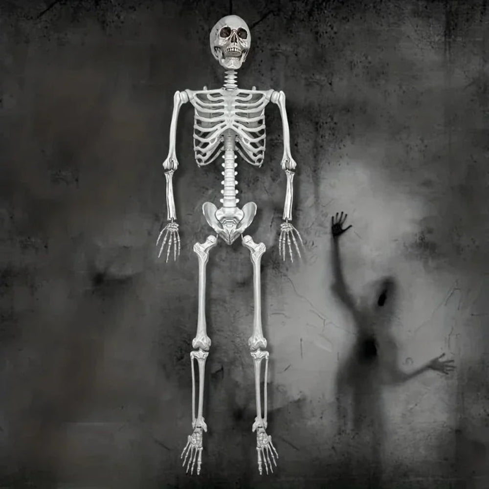 Halloween Decoration Skeleton Figure Life-Size Display