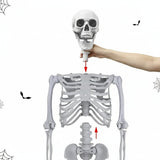 Halloween Decoration Skeleton Figure Life-Size Display