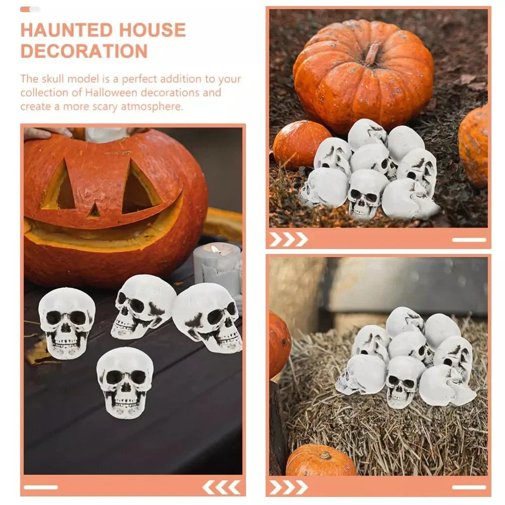 Halloween Skeleton Skull Decorations – Set of 10, White Finish & Tabletop Display