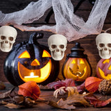Halloween Skeleton Skull Decorations – Set of 10, White Finish & Tabletop Display