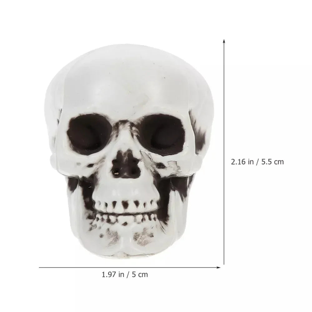 Halloween Skeleton Skull Decorations – Set of 10, White Finish & Tabletop Display