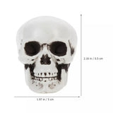 Halloween Skeleton Skull Decorations – Set of 10, White Finish & Tabletop Display