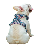 Adjustable Dog Harness – Breathable No-Pull, XS-XL Sizes & 7 Colors