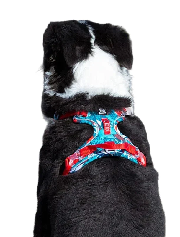Vendo – Comfortable & Durable Dog Harness
