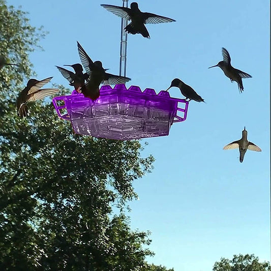 Hummingbird Feeder – Hanging Design & Outdoor Use