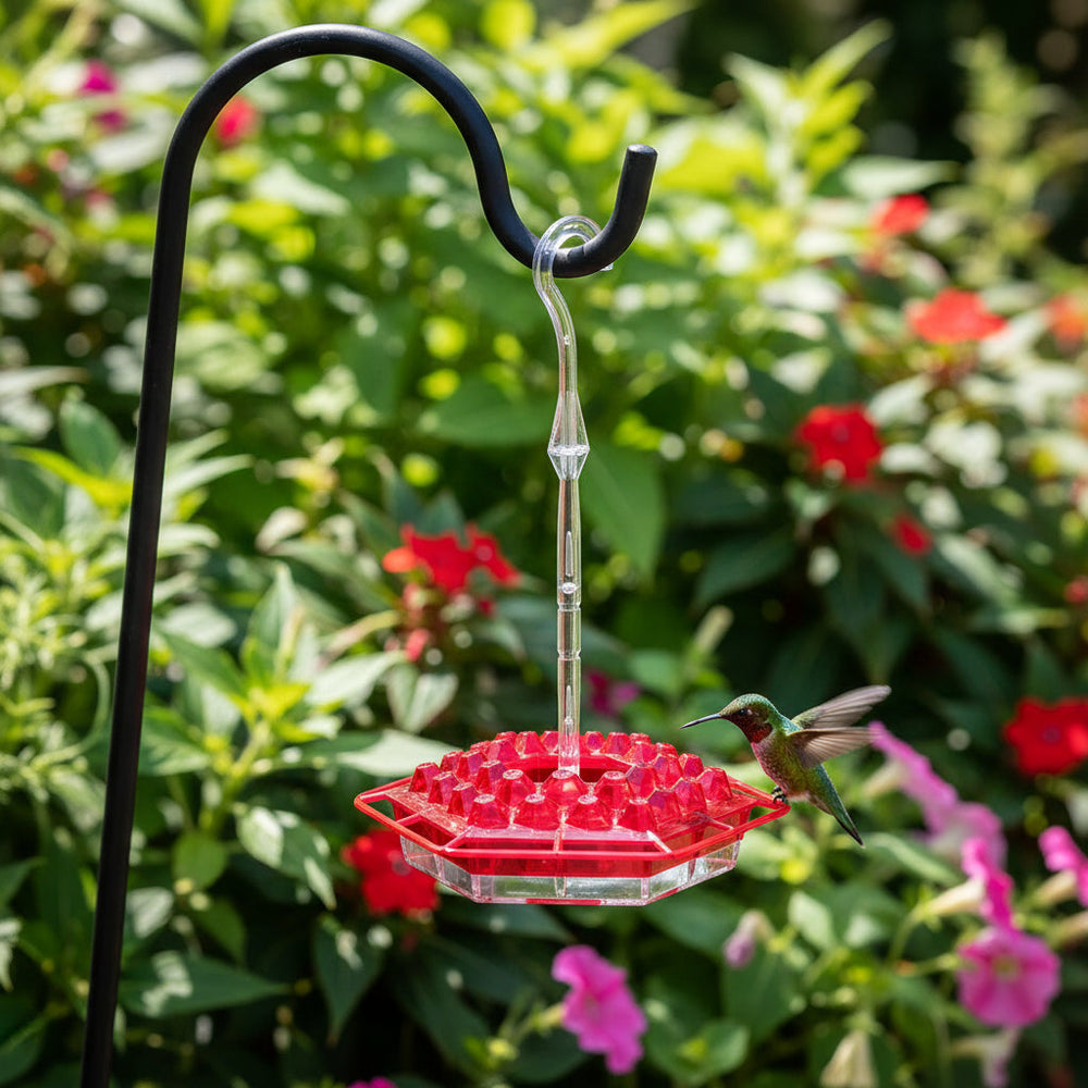 Hummingbird Feeder Hanging Bird Outdoor