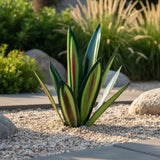 Solar LED Agave Lamp – 7-Color Changing, Weatherproof Metal & Cordless