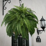 BowLift | UV Resistant Lifelike Artificial Boston Fern