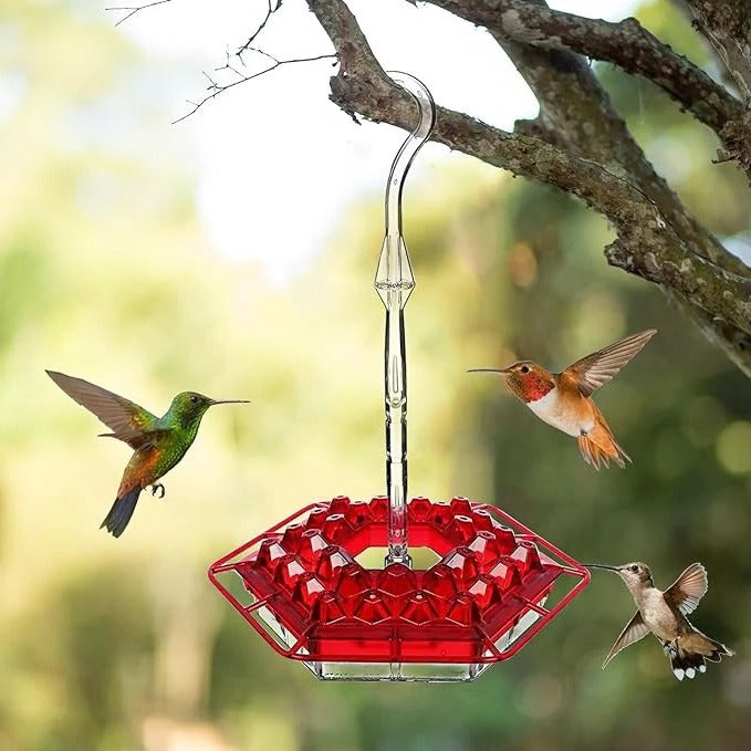 Hummingbird Feeder – Ant-Proof Design, Leak-Proof Build & Hanging Perch