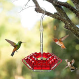 Hummingbird Feeder – Ant-Proof Design, Leak-Proof Build & Hanging Perch
