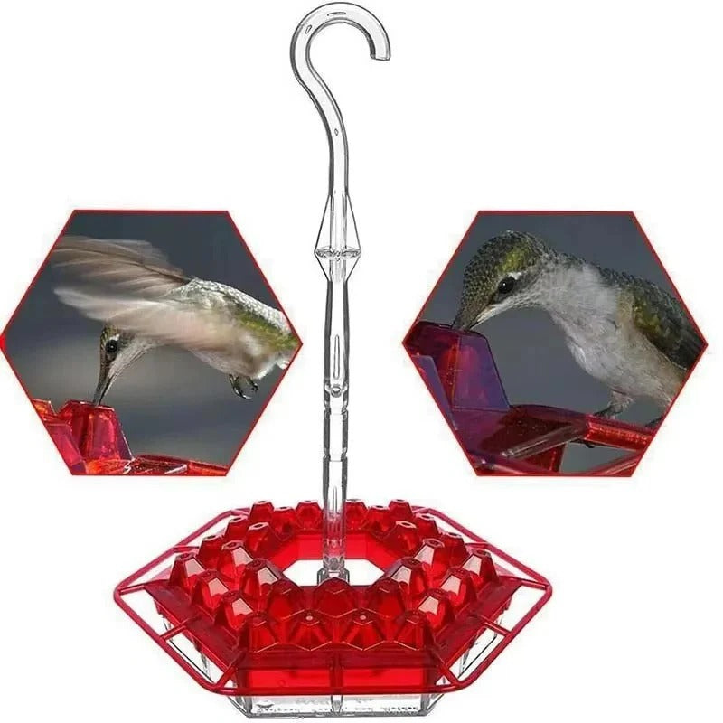 Hummingbird Feeder – Ant-Proof Design, Leak-Proof Build & Hanging Perch