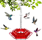 Hummingbird Feeder – Ant-Proof Design, Leak-Proof Build & Hanging Perch