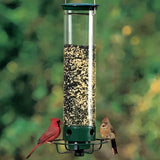 Bird Feeder – Squirrel-Proof Design, Weight-Activated Perch & 5 lb Capacity