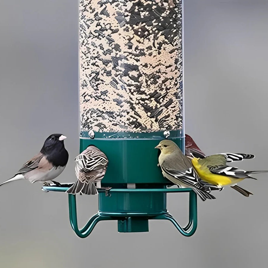 Bird Feeder – Squirrel-Proof Design, Weight-Activated Perch & 5 lb Capacity