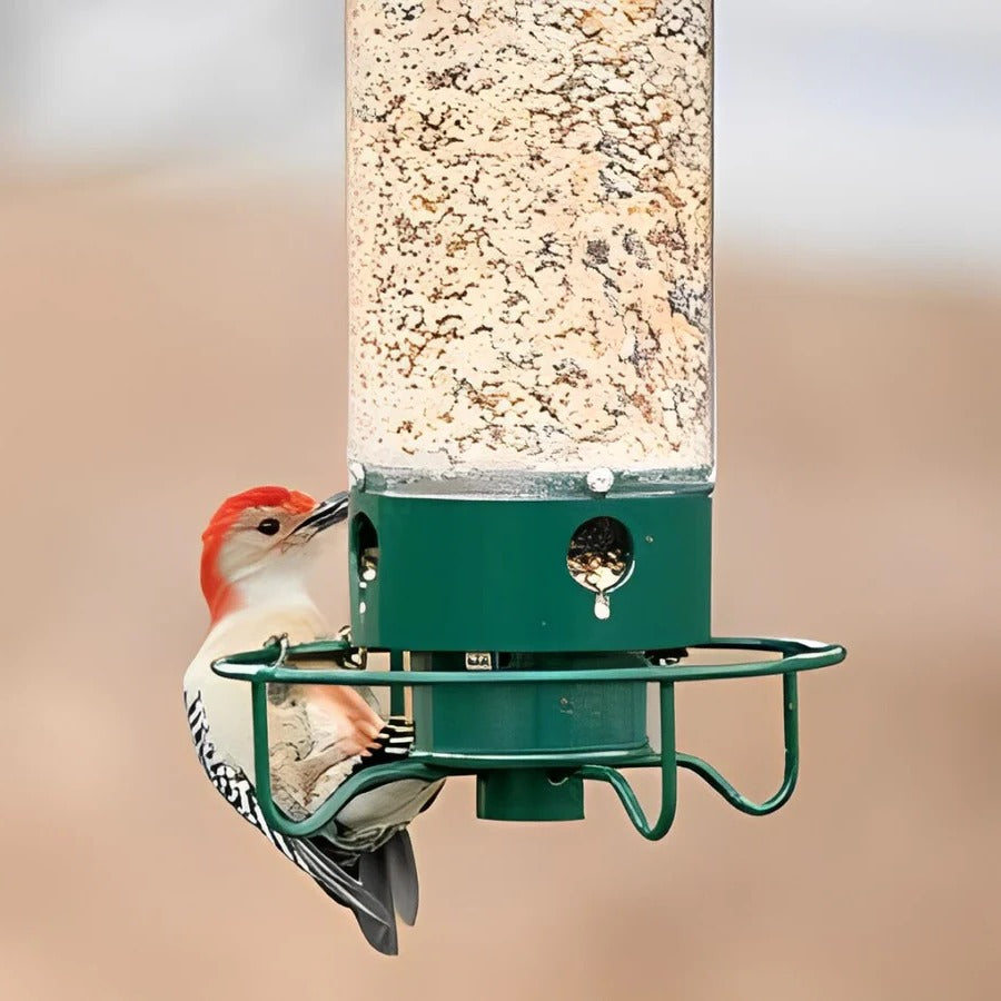 Bird Feeder – Squirrel-Proof Design, Weight-Activated Perch & 5 lb Capacity