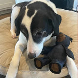 Dog Chew Toy – Interactive Bear Design, Indestructible Build & Heavy Chewer Approved