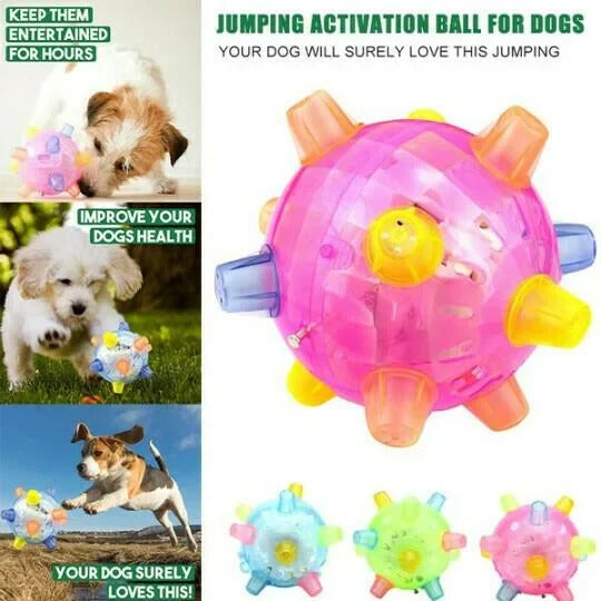 Interactive Dog Ball – Jumping Activation & Bouncing Design