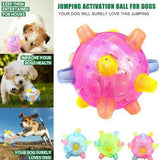 Interactive Dog Ball – Jumping Activation & Bouncing Design