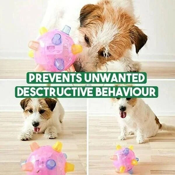 Interactive Dog Ball – Jumping Activation & Bouncing Design