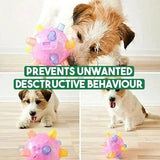 Interactive Dog Ball – Jumping Activation & Bouncing Design