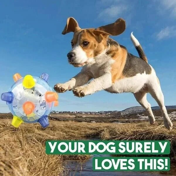 Interactive Dog Ball – Jumping Activation & Bouncing Design
