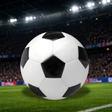 Durable Training Soccer Ball High Performance Practice