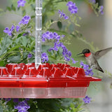 Kalsten | Hummingbird Feeder With Built-In Ant Moat