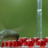 Kalsten | Hummingbird Feeder With Built-In Ant Moat