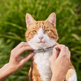 Natural Flea & Tick Collar – 8-Month Protection, Waterproof & Adjustable for Dogs & Cats