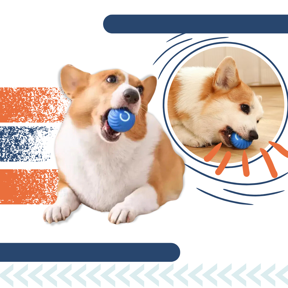 Interactive Dog Ball – Rechargeable, Durable & Obstacle-Avoidance Smart Toy