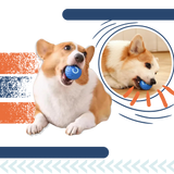 Interactive Dog Ball – Rechargeable, Durable & Obstacle-Avoidance Smart Toy
