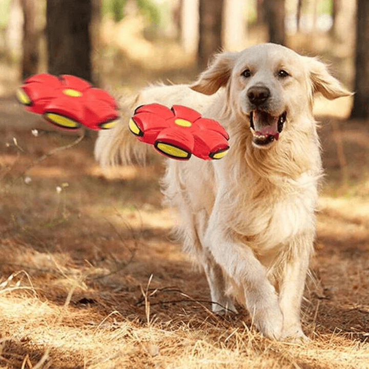 Interactive Transforming Flying Ball Toy for Dogs - Engaging Fetch & Play Fun