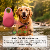 Kirra Waterproof GPS Dog Tracker - Real-Time Location Alerts & Pet Safety Monitor