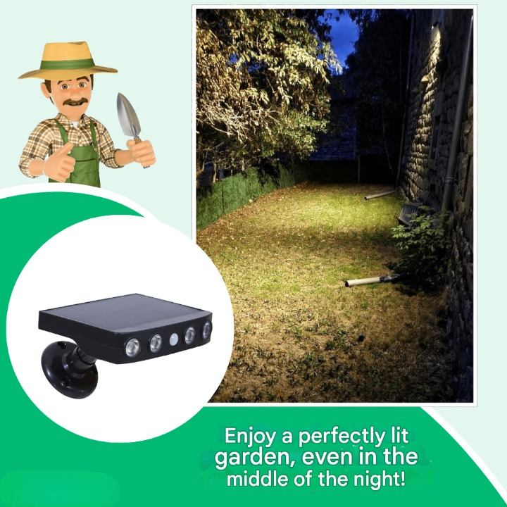 Lumina – Solar Outdoor Light with Motion Sensor