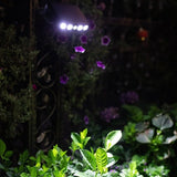 Lumina – Solar Outdoor Light with Motion Sensor