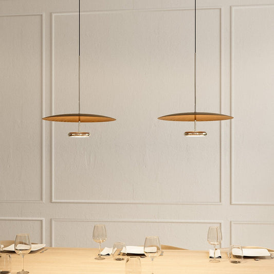 LED Ceiling Light – Hanging Fixture, Indirect Lighting & Dimmable Design