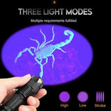 High-Power LED UV Flashlight - Ultraviolet Inspection Lamp for Pet Urine Detection & Stain Removal
