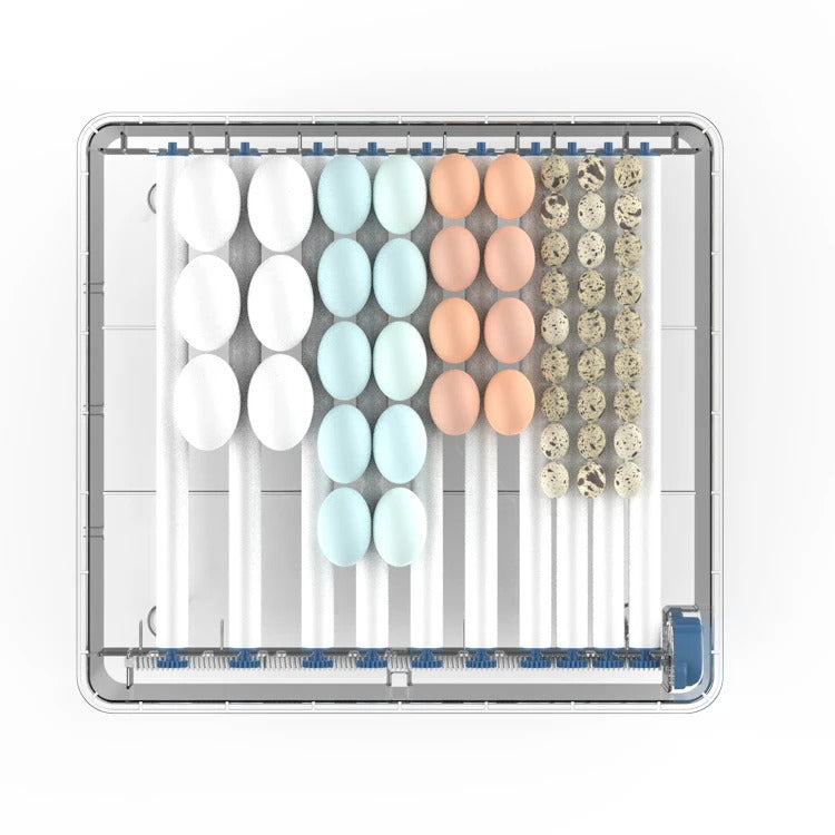 Automatic Egg Incubator - HatchEase