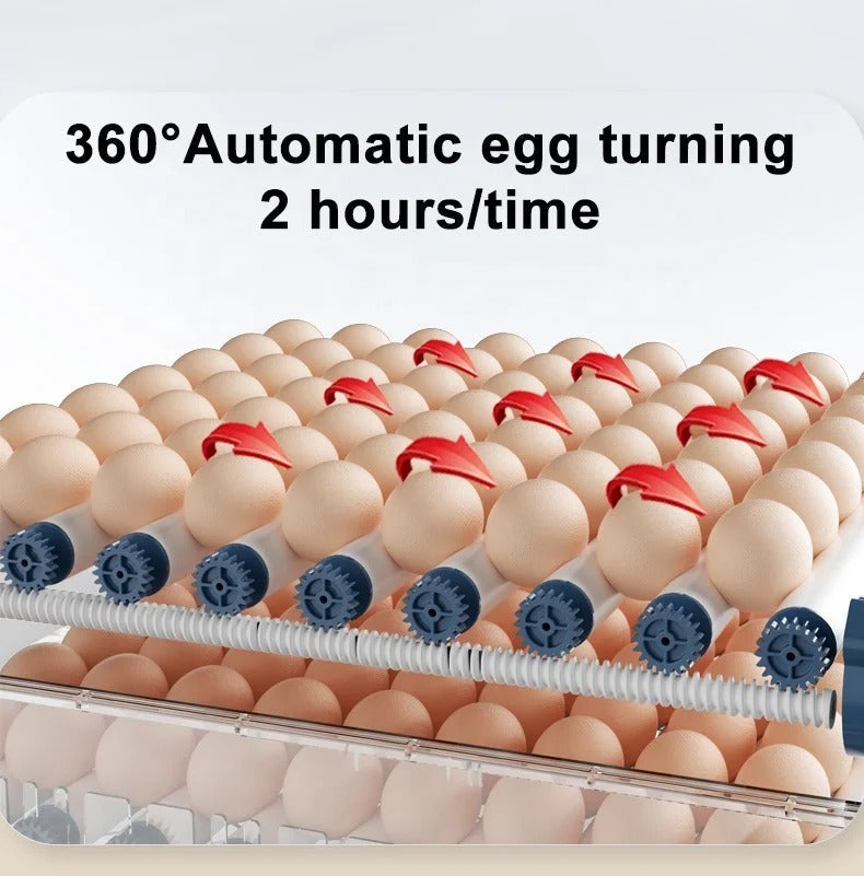 Automatic Egg Incubator - HatchEase