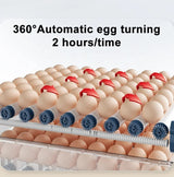 Automatic Egg Incubator - HatchEase