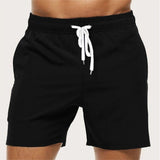 Men's Swimsuit Swim Shorts Quick-Dry | Beach Shorts