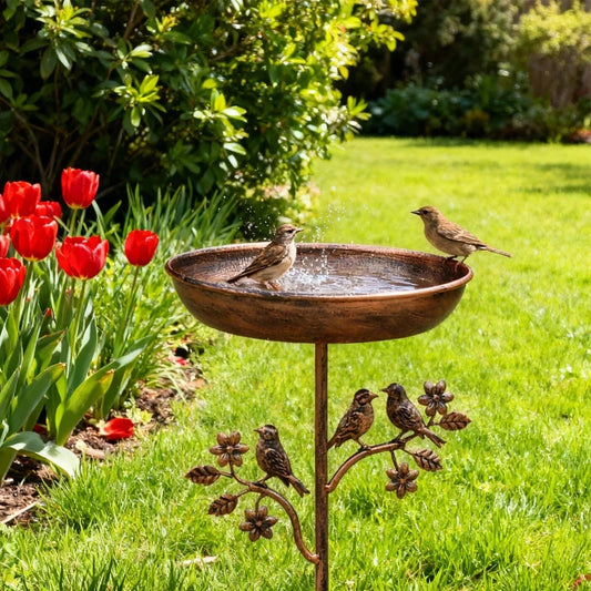Metal Bird Bath – Freestanding Stand, Garden Decor & Wild Bird Care