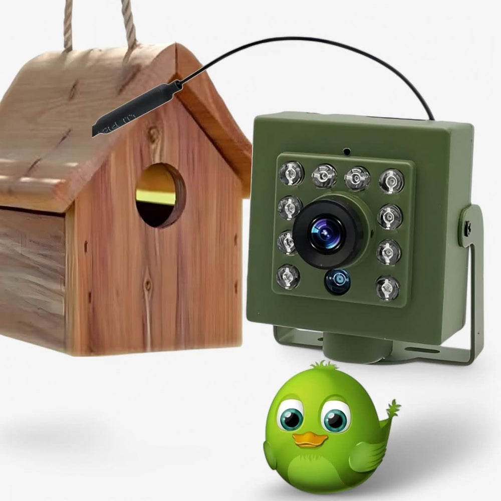 HD Bird Nest Camera – 1080p Night Vision, IP66 Weatherproof & WiFi Motion Alerts